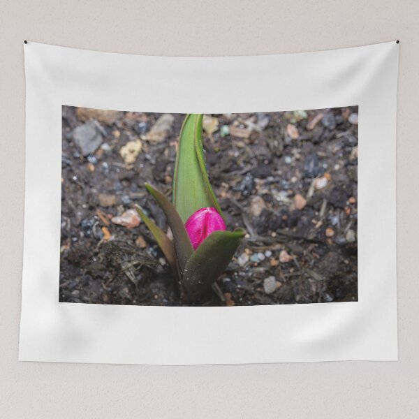 Item preview, Waiting To Bloom designed and sold by Steve Purnell Photography.