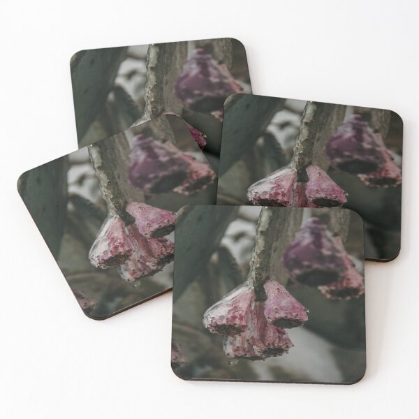 Item preview, Icy Frozen Cactus Spring Blooms designed and sold by JLPhotographer.