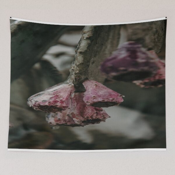 Item preview, Icy Frozen Cactus Spring Blooms designed and sold by JLPhotographer.