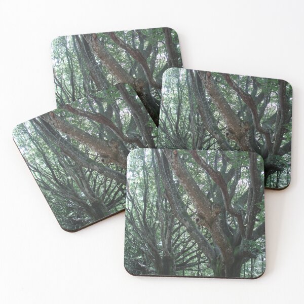 Item preview, Row of trees designed and sold by Hilly366.