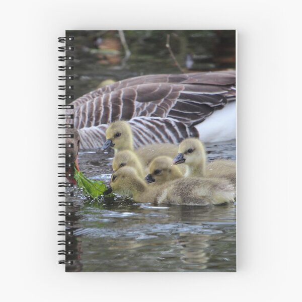 Item preview, Greylag geese feeding goslings designed and sold by Zosimus.