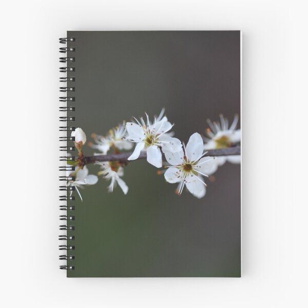 Item preview, Flowers of a Blackthorn bush designed and sold by Zosimus.