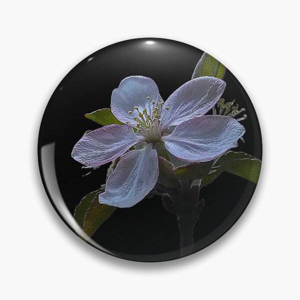 Aperçu de l'œuvre Photographie d'une fleur de pommier au printemps créée et vendue par JessFranco.