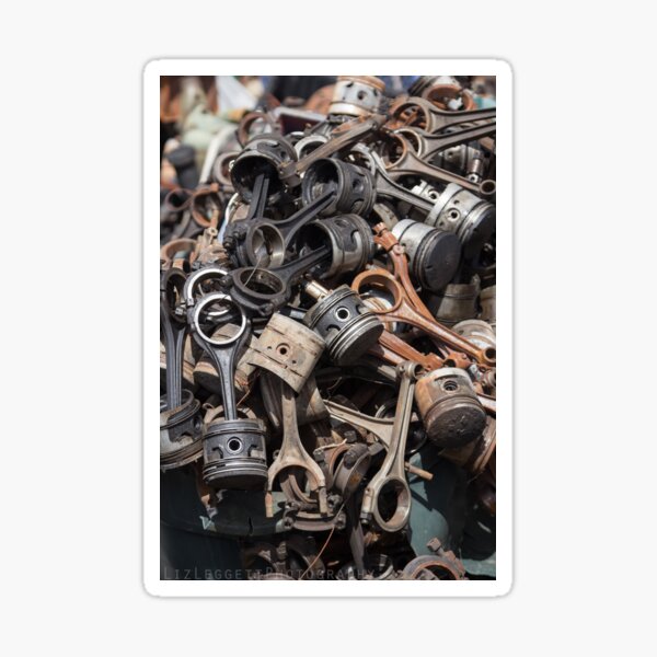 Piston Popper - Liz Leggett Photography Sticker