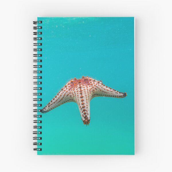 Item preview, Seastar designed and sold by Planet Earth By Colin Davis.