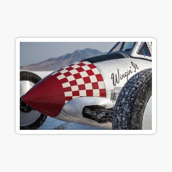 Wingin' It - Liz Leggett Photography Sticker