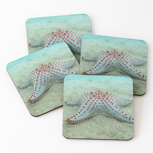 Item preview, Starfish designed and sold by Planet Earth By Colin Davis.