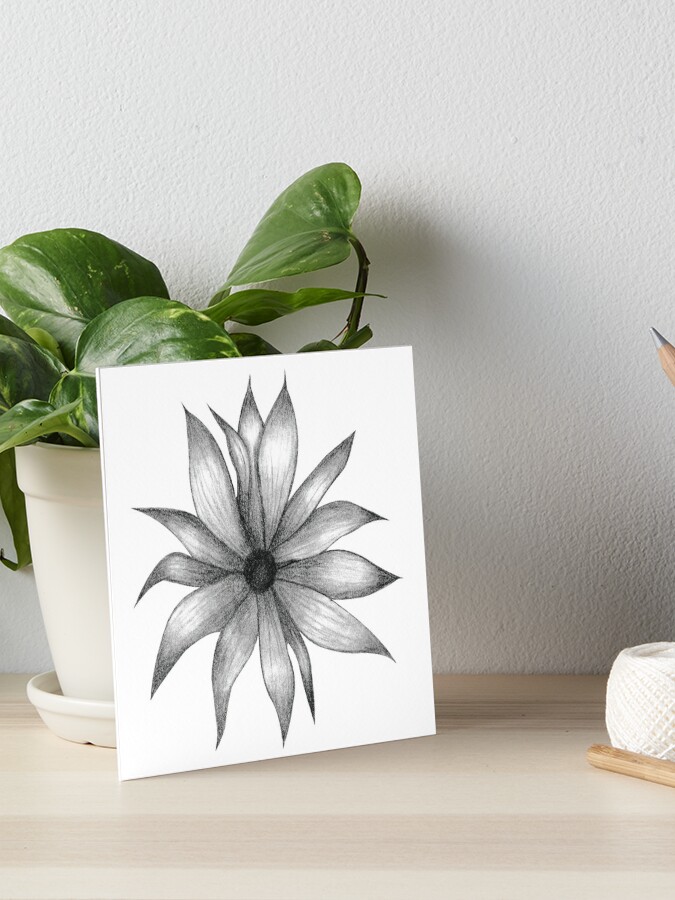 Flower Sketch Drawing Photo - Drawing Skill