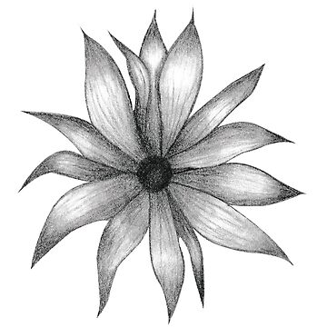 Flower Sketches 4 by OsannaChil on DeviantArt