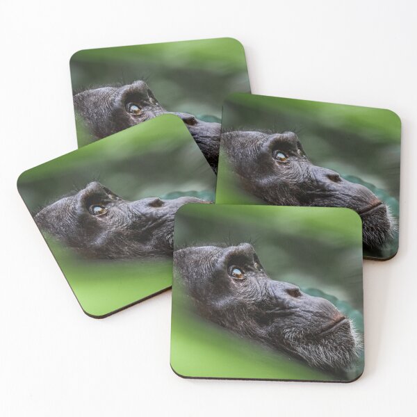 Item preview, Wise Old Chimpanzee in Deep Thought designed and sold by Planet Earth By Colin Davis.