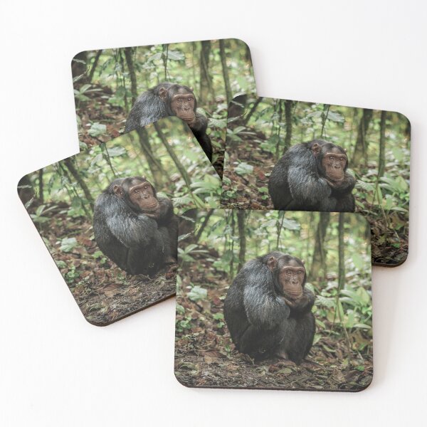 Item preview, Humble Chimpanzee designed and sold by Planet Earth By Colin Davis.
