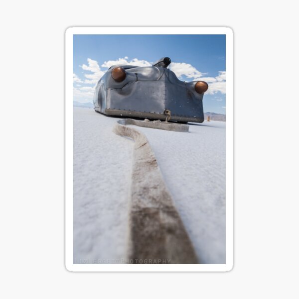 Leading Betty - Liz Leggett Photography Sticker