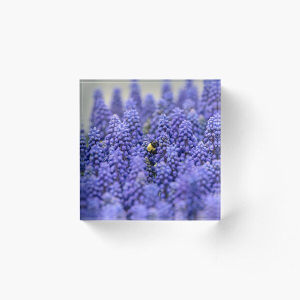bee safe Acrylic Block