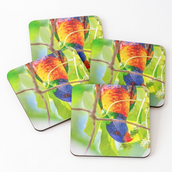 Item preview, Rainbow Lorikeet designed and sold by Planet Earth By Colin Davis.