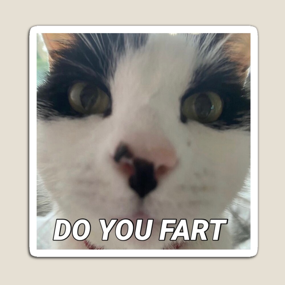 Do you fart meme 