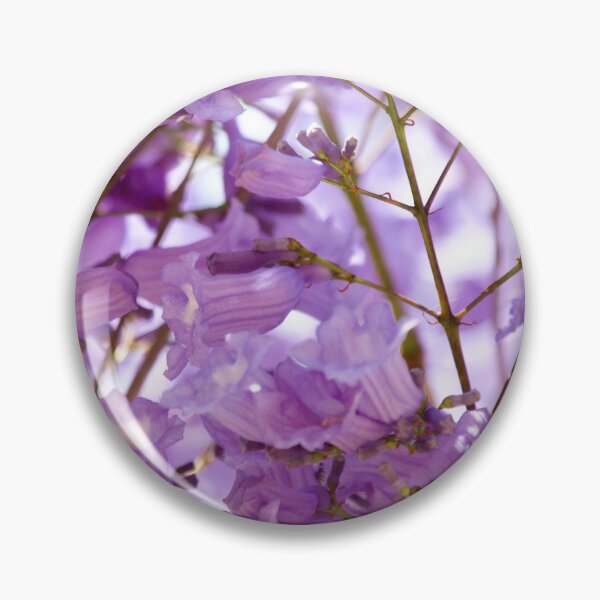 Item preview, Jacaranda time  designed and sold by MargsNaturePix.