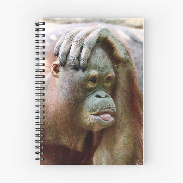 Artikelvorschau, Junge weibliche Orang-Utan entworfen und verkauft von KMDavidPhoto.