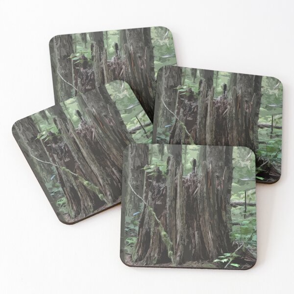 Item preview, Stump In The Forest designed and sold by KirtTisdale.