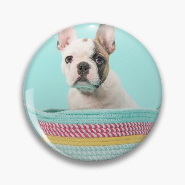 Artikelvorschau, Französischer Bulldoggenwelpe in einem Korb! entworfen und verkauft von AllureVisions.