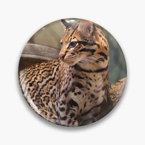 Item preview, Portrait of an Ocelot  designed and sold by KMDavidPhoto.