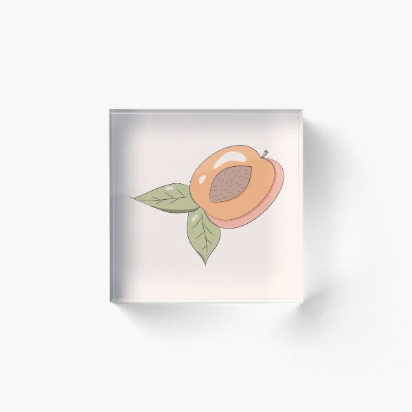 Half a Peach Acrylic Block