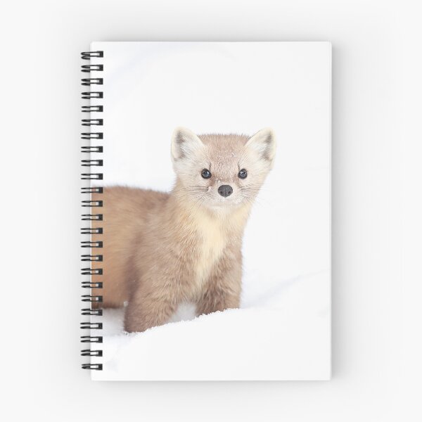 Item preview, American Marten designed and sold by mlorenz.