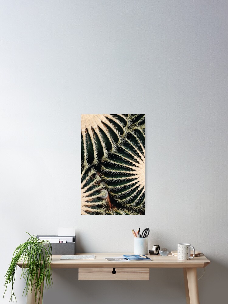Thumbnail 2 of 3, Poster, Cactus designed and sold by Slate98.