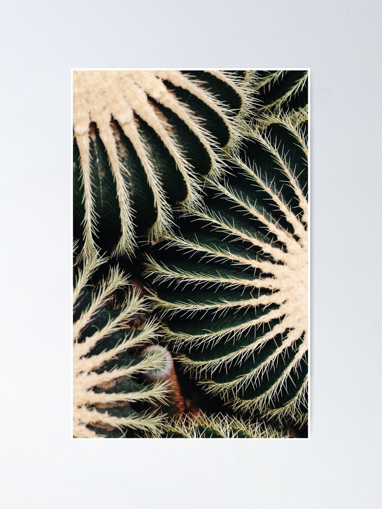 Thumbnail 1 of 3, Poster, Cactus designed and sold by Slate98.