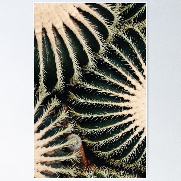 Item preview, Cactus  designed and sold by Slate98.
