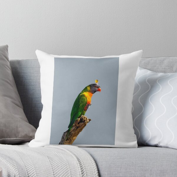 Artikelvorschau, Regenbogen Lorikeet entworfen und verkauft von John  Kowalski.
