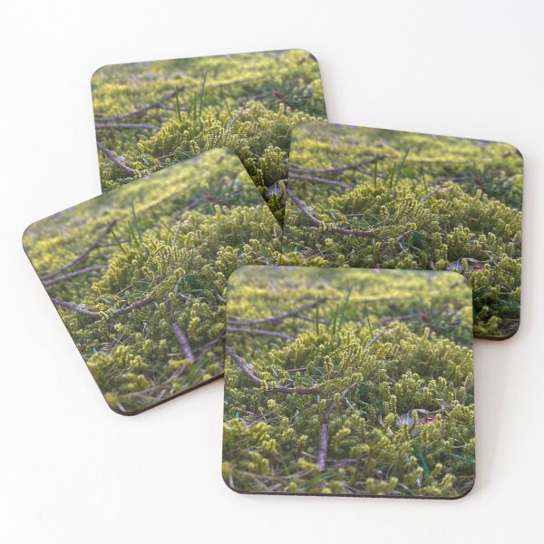 Item preview, Ground Mosses  designed and sold by BlueNorth.