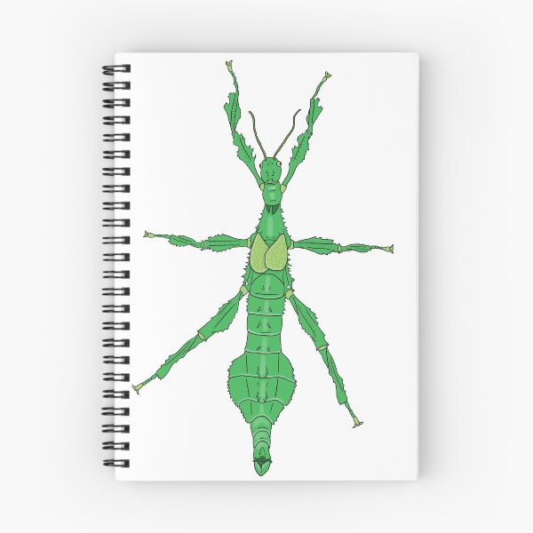 Item preview, Green Extatosoma tiaratum designed and sold by Artbychb.