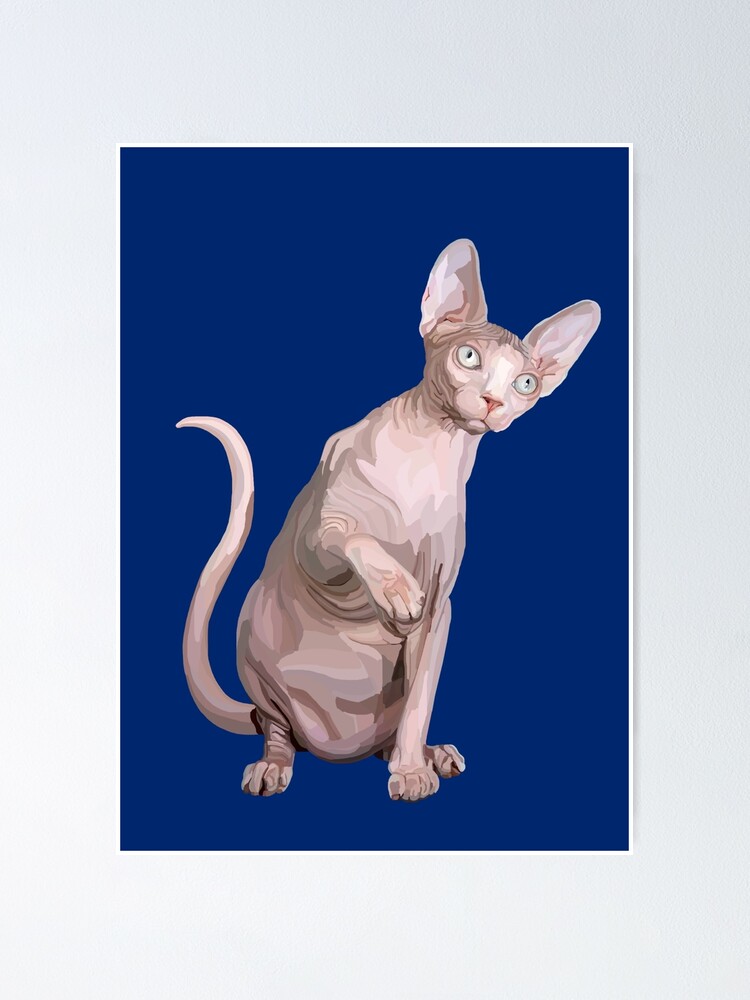 Elegant Sleek and Curious Sphynx Cat Elegant Sleek and Curious Sphynx Cat