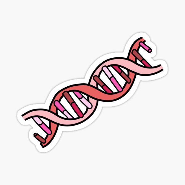 DNA Double Helix Sticker