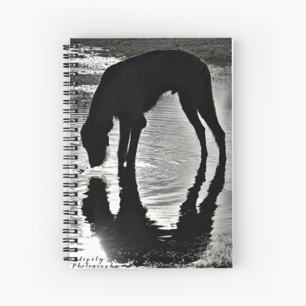 Reflections of A Wolfhound Spiral Notebook