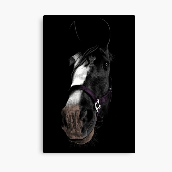 GIFTMASTER 7 Horse Vastu Wall Art Picture Home Decor Canvas 12 inch x 24  inch Painting Price in India  Buy GIFTMASTER 7 Horse Vastu Wall Art  Picture Home Decor Canvas 12