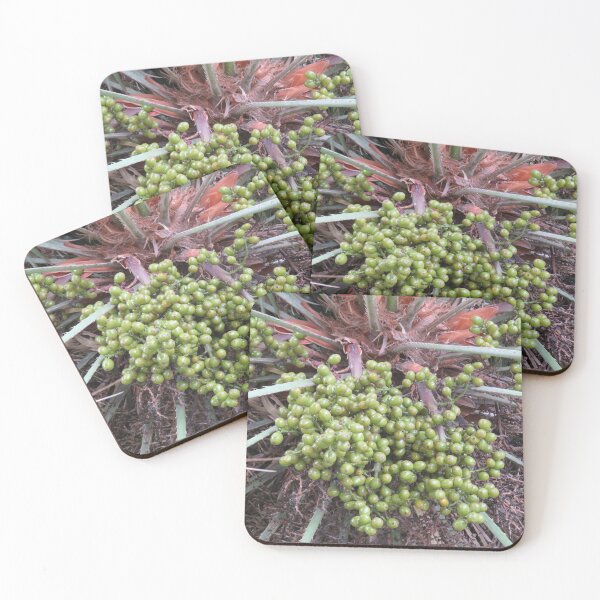 Item preview, Palm tree fruit designed and sold by greentiger1.