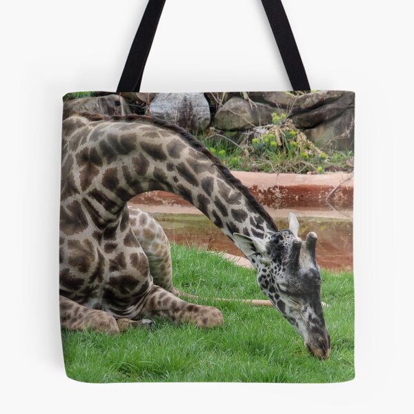 Item preview, Giraffe in the Grass designed and sold by KMDavidPhoto.