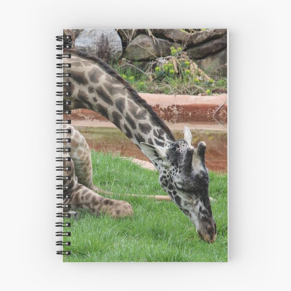 Item preview, Giraffe in the Grass designed and sold by KMDavidPhoto.