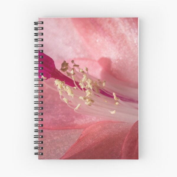 Item preview, Zygocactus - Blooming as we head for winter designed and sold by pcbermagui.