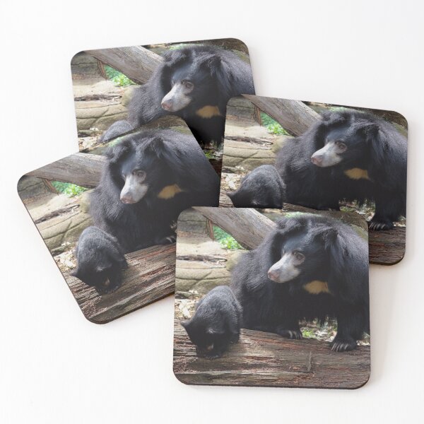 Item preview, Momma and Baby Sloth Bear designed and sold by KMDavidPhoto.