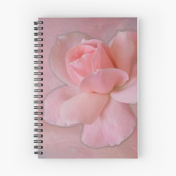 Item preview, The last rose of Autumn designed and sold by pcbermagui.