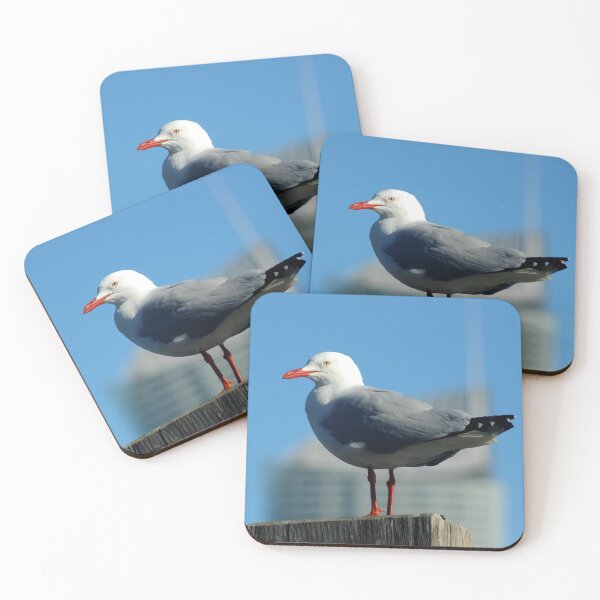 Item preview, Seagull on the look out designed and sold by Blackadder Photography.
