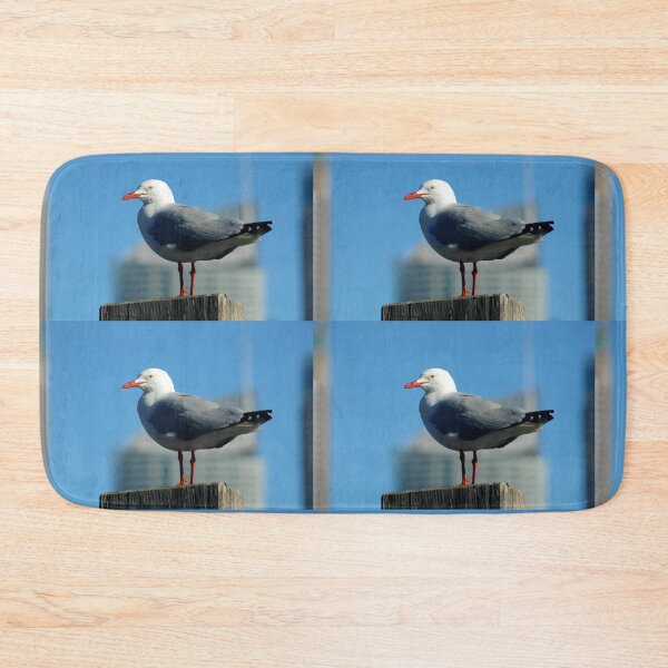 Item preview, Seagull on the look out designed and sold by Blackadder Photography.