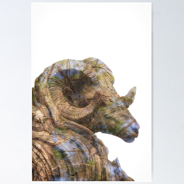Item preview, Ram rover designed and sold by pwilliamsfoto.