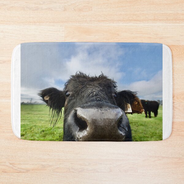 Item preview, Black cow close up in a Green field designed and sold by ArtbyBodge.