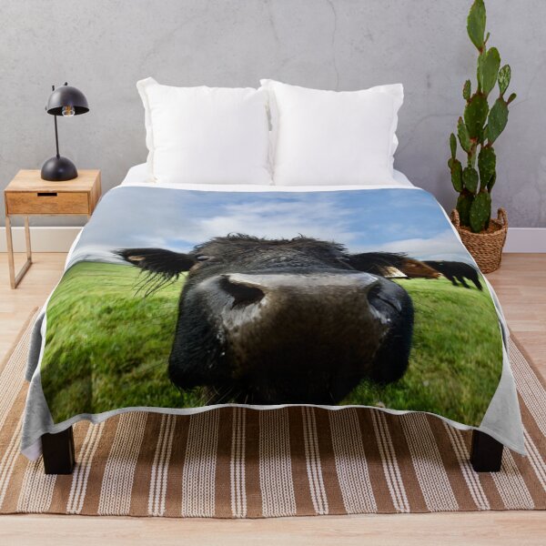 Item preview, Black cow close up in a Green field designed and sold by ArtbyBodge.