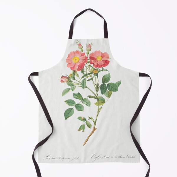 Item preview, Les Roses by Pierre-Joseph Redouté designed and sold by EsotericBotanic.