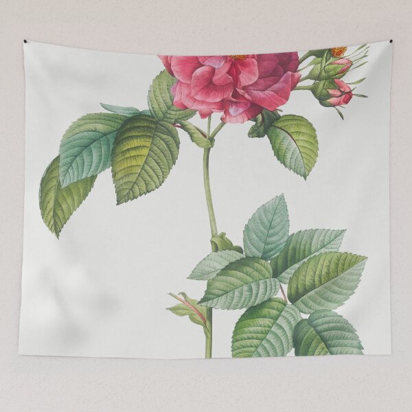 Item preview, Les Roses by Pierre-Joseph Redouté designed and sold by EsotericBotanic.