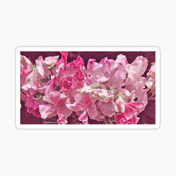 Sweet pea Delight ... A soft pink dream of florals | BOTANICALS Sticker